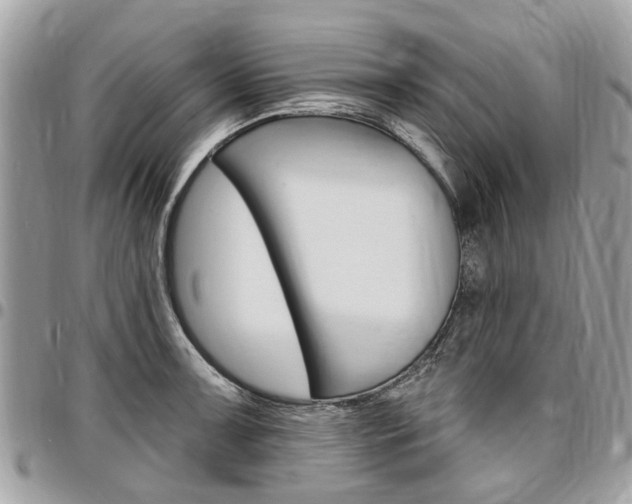 X0000096971091200802080917