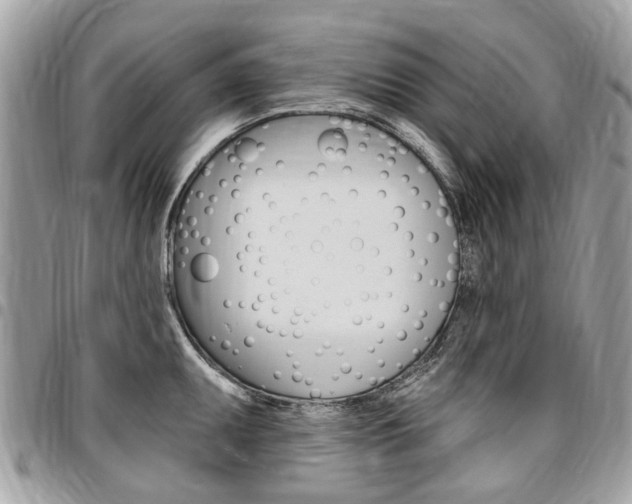 X0000096971095200802080917