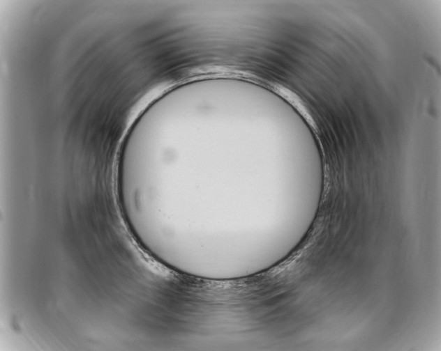 X0000096971098200802080917
