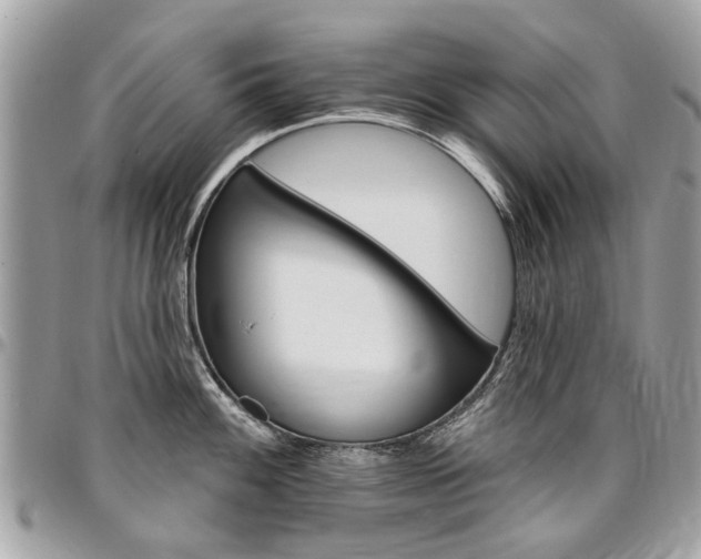 X0000096971100200802080917