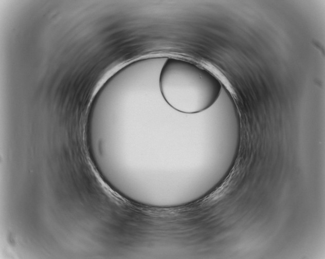 X0000096971101200802080917
