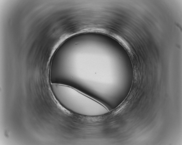 X0000096971102200802080917