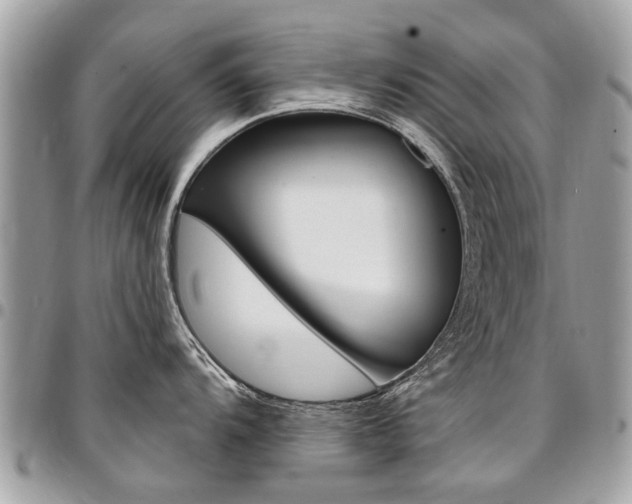 X0000096971104200802080917
