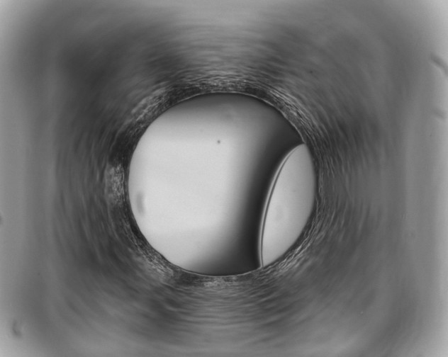 X0000096971107200802080916