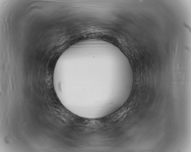 X0000096971109200802080916