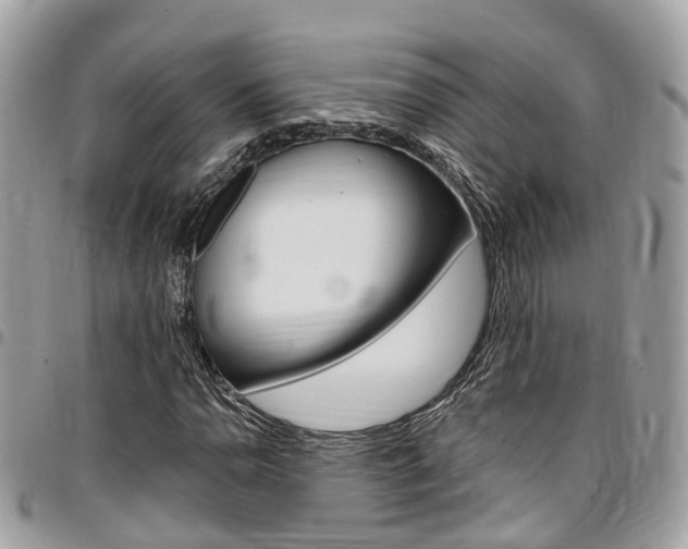 X0000096971110200802080917
