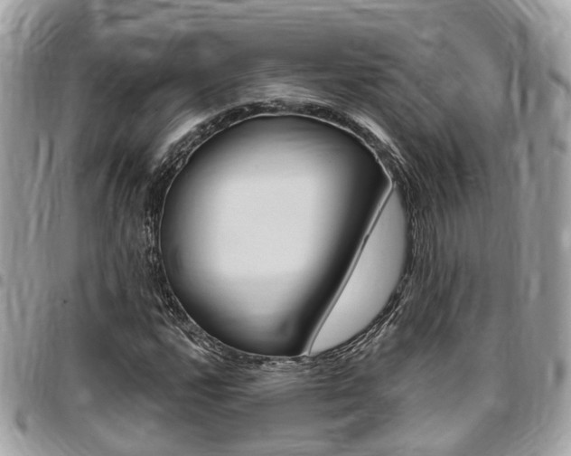 X0000096971112200802080917