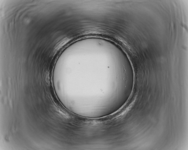 X0000096971113200802080917