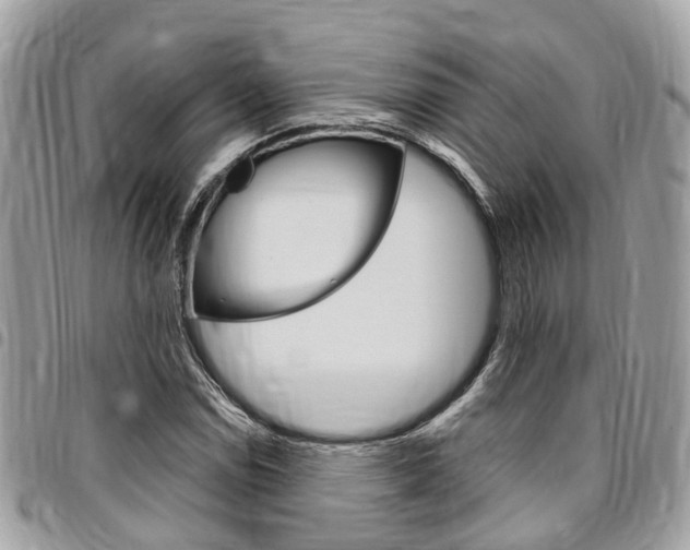 X0000096971114200802080917