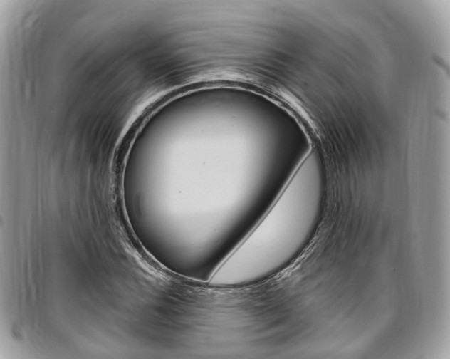 X0000096971116200802080917