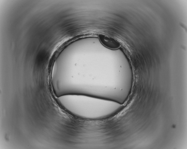 X0000096971117200802080917