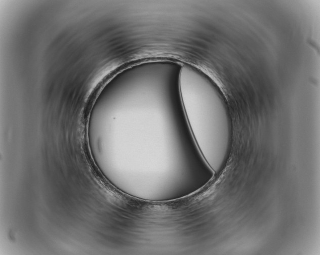 X0000096971119200802080917