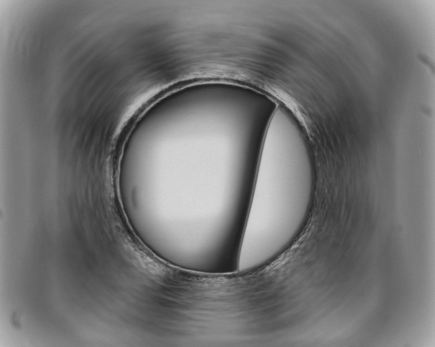 X0000096971120200802080917