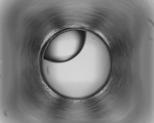 X0000096971122200802080917