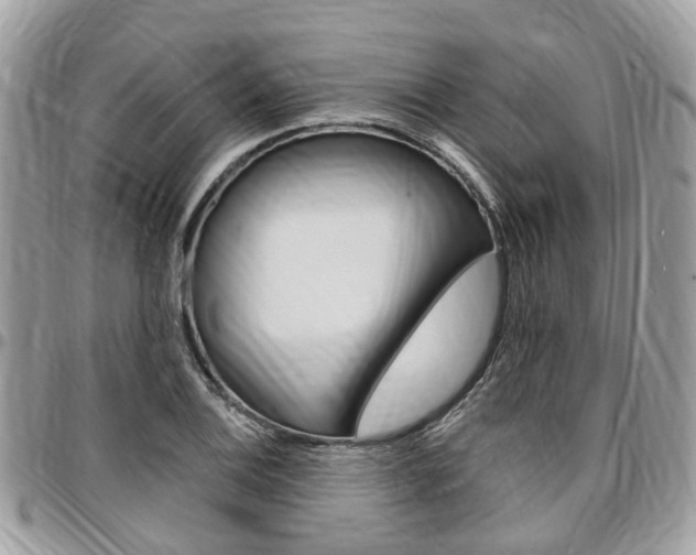 X0000096971124200802080917