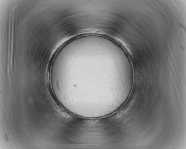 X0000096971125200802080917