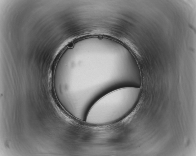 X0000096971126200802080917