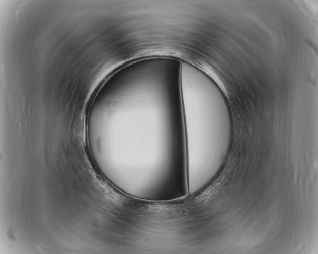 X0000096971132200802080917