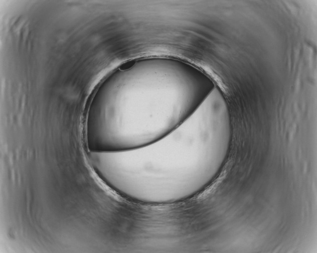 X0000096971134200802080917
