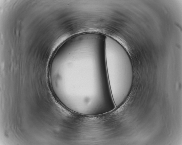 X0000096971135200802080917
