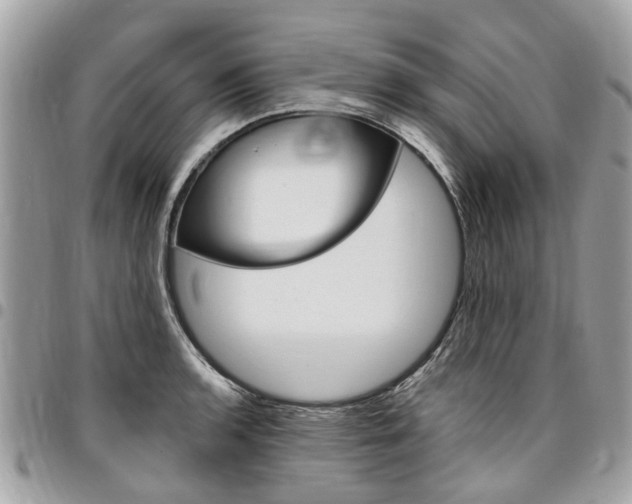 X0000096971136200802080917