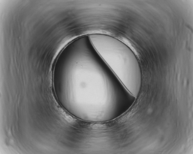 X0000096971140200802080917