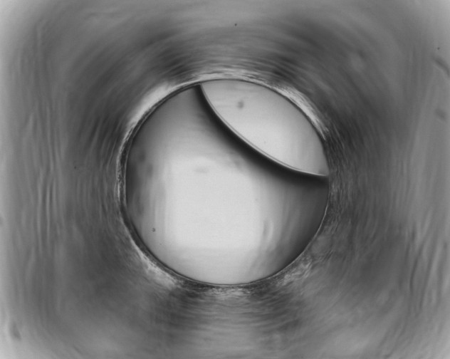 X0000096971143200802080917