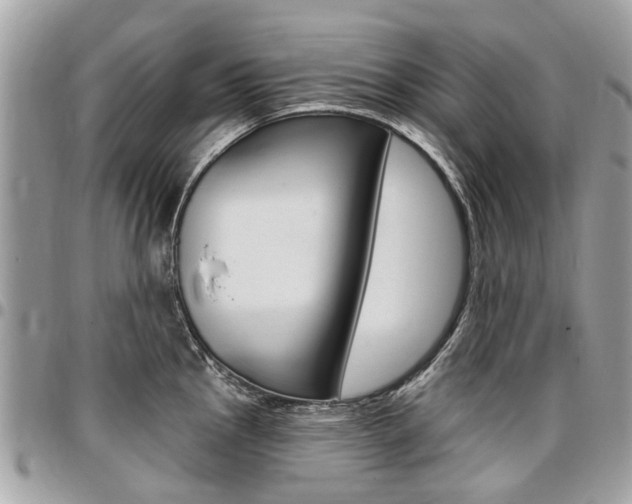 X0000096971145200802080917