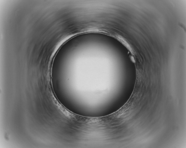 X0000096971148200802080917