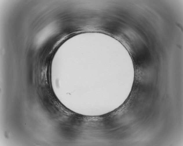 X0000096971150200802080917