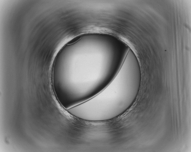 X0000096971152200802080917
