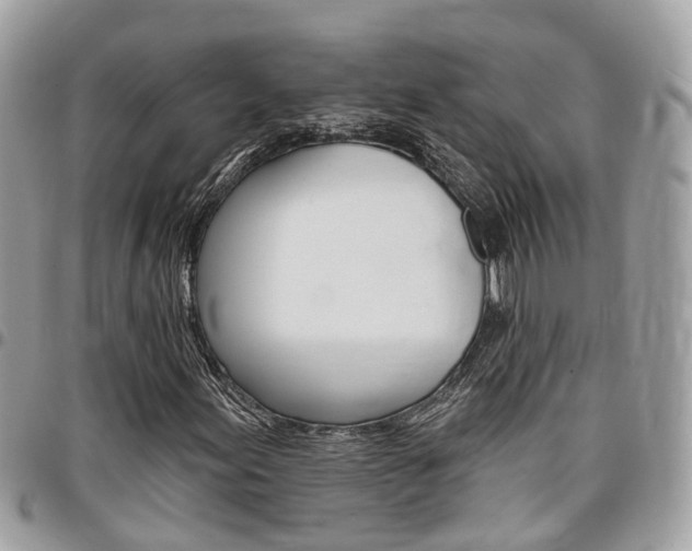 X0000096971155200802080916