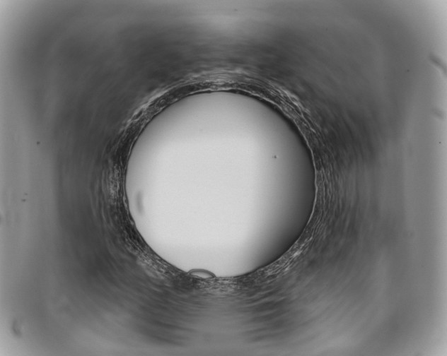 X0000096971158200802080916