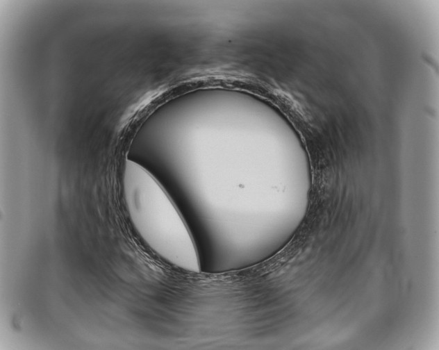 X0000096971159200802080916