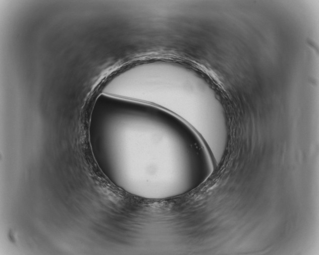X0000096971160200802080916