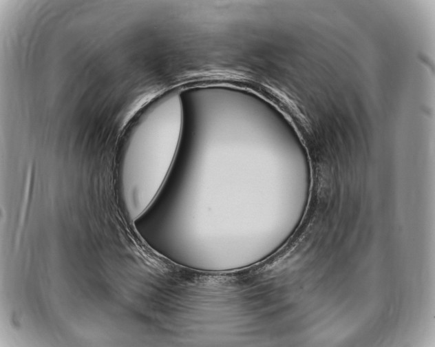 X0000096971163200802080916