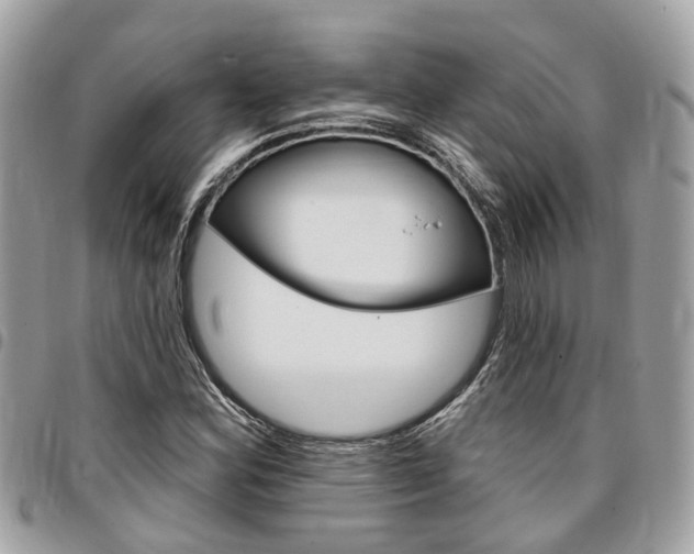 X0000096971164200802080916
