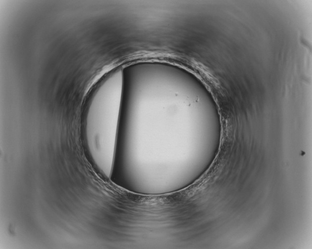 X0000096971165200802080916