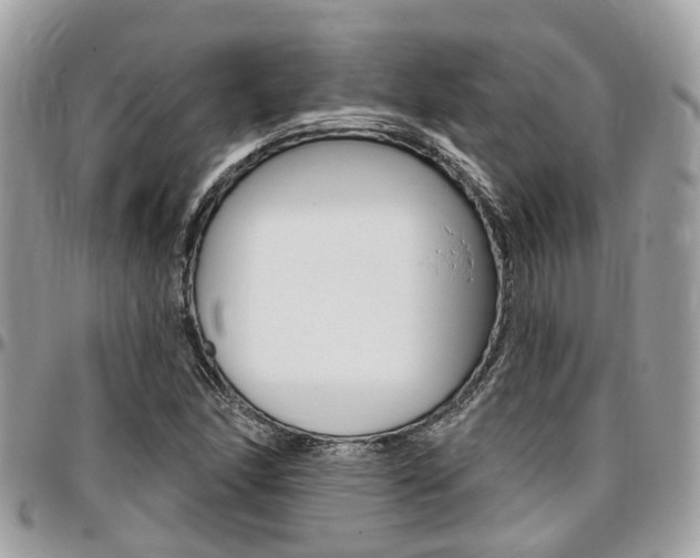 X0000096971166200802080916