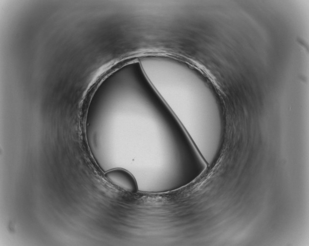 X0000096971168200802080916