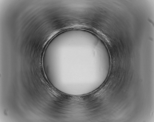 X0000096971170200802080916