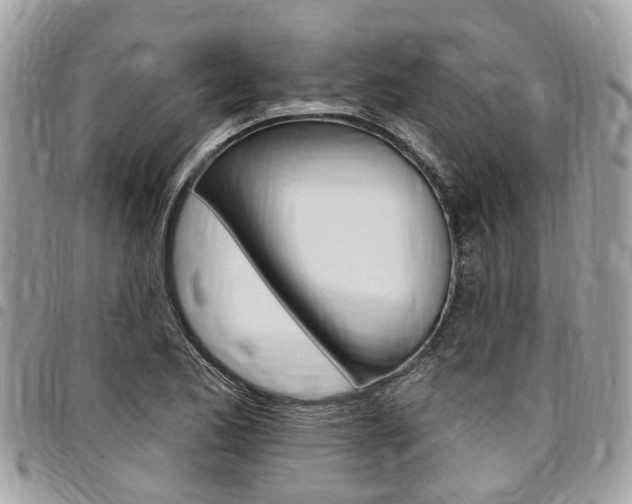 X0000096971173200802080916
