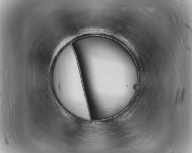 X0000096971175200802080916