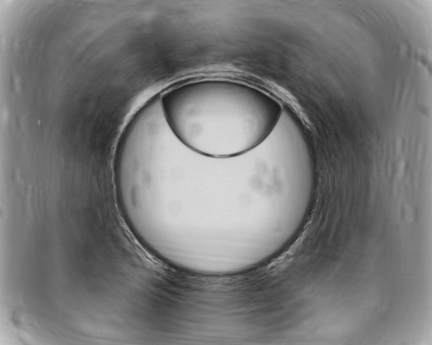 X0000096971176200802080916