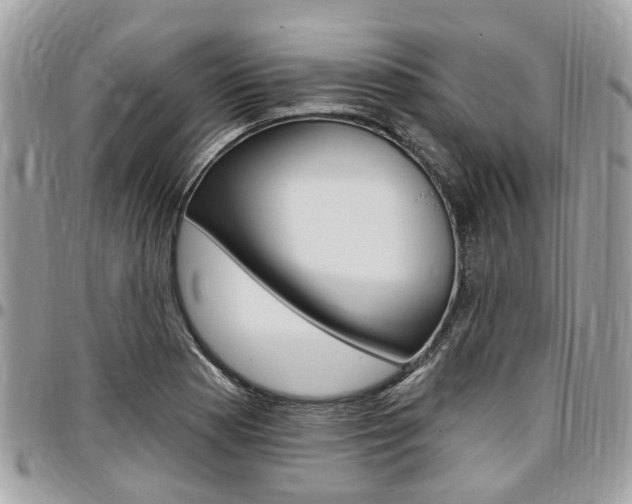 X0000096971177200802080916