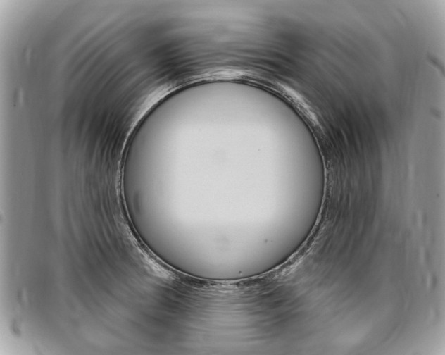 X0000096971186200802080916