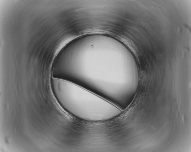 X0000096971187200802080916