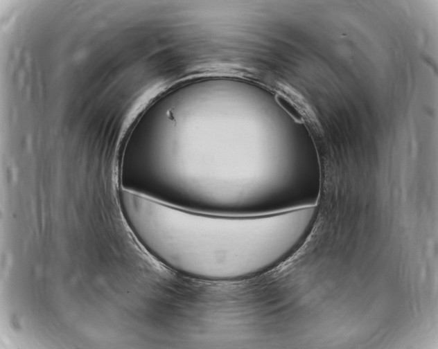 X0000096971188200802080916