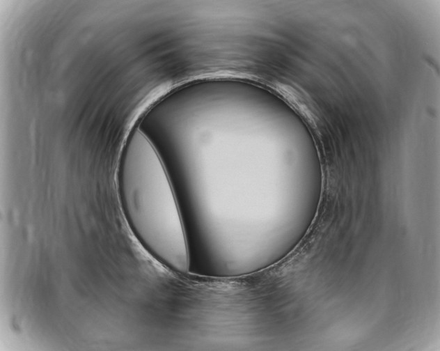 X0000096971189200802080916