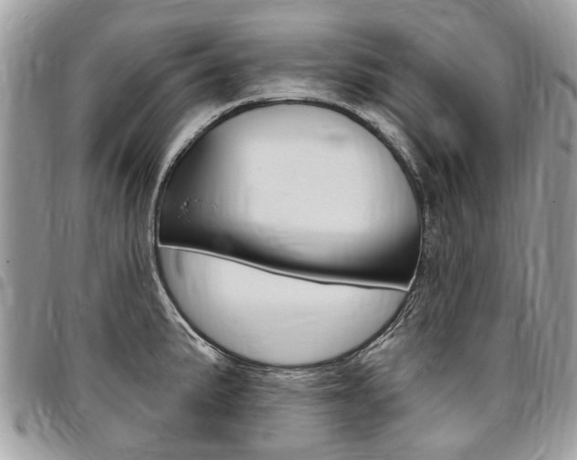 X0000096971191200802080916